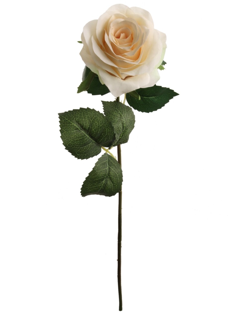 20" Champagne Open Rose Stems (48-Pack) - Lifelike Silk Flowers, 4" Wide Blooms, Perfect for Bouquets, Events & Home Decor - Year-Round Elegance, Floral Home by Artificial Flowers